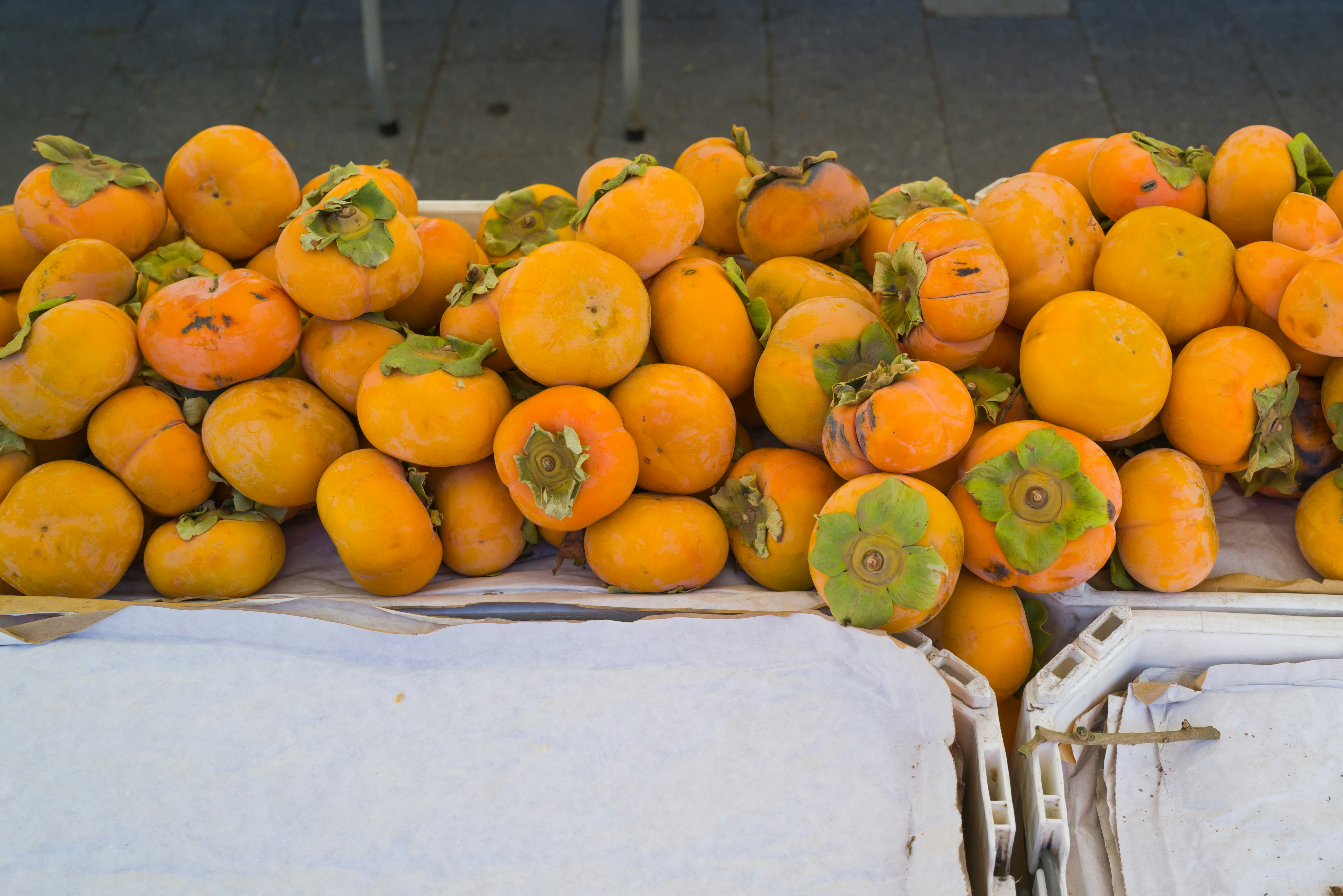 Fall Persimmon Workshop