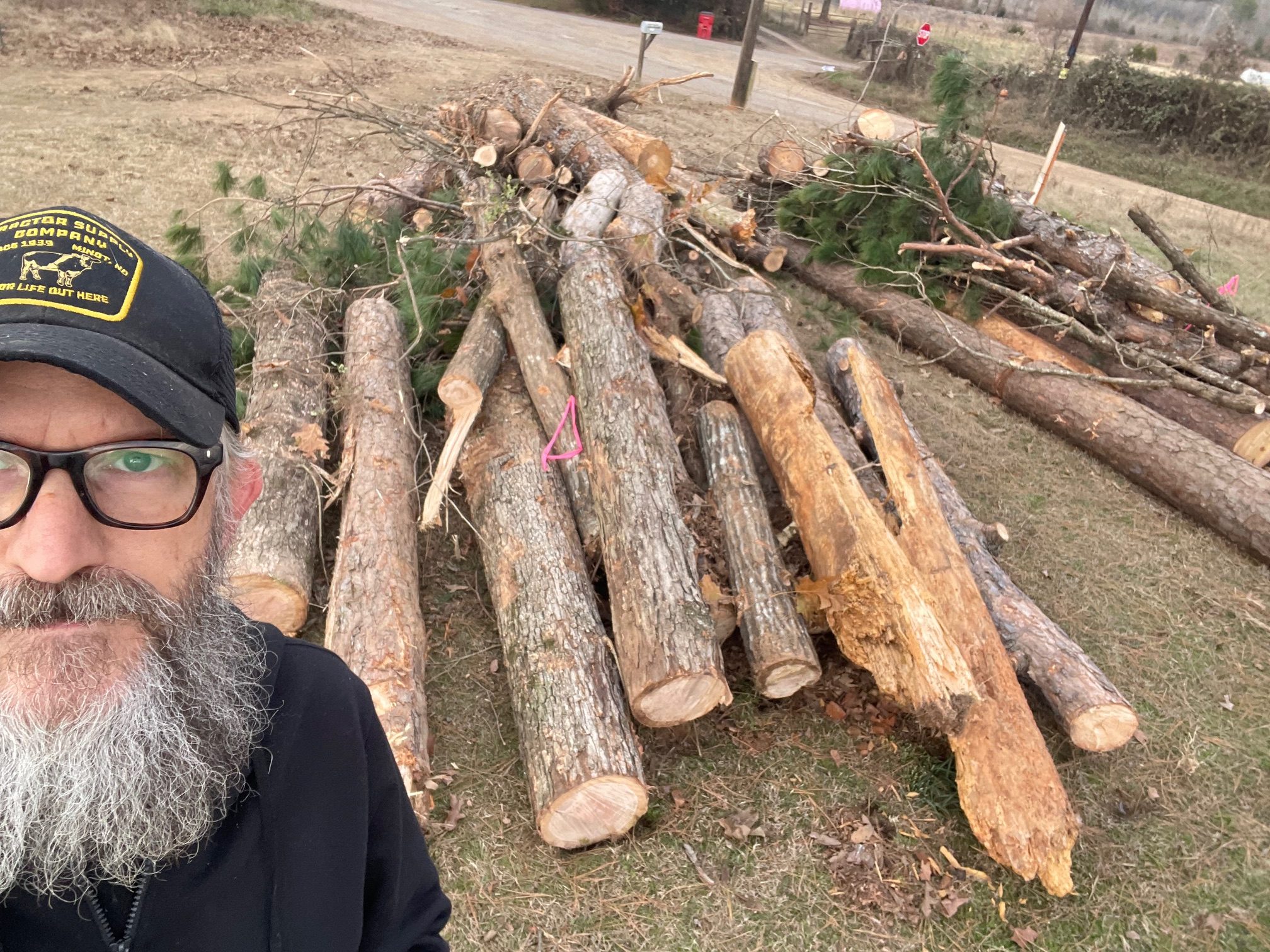 Community Efforts: Bringing Wood Chips to Build a Food Forest