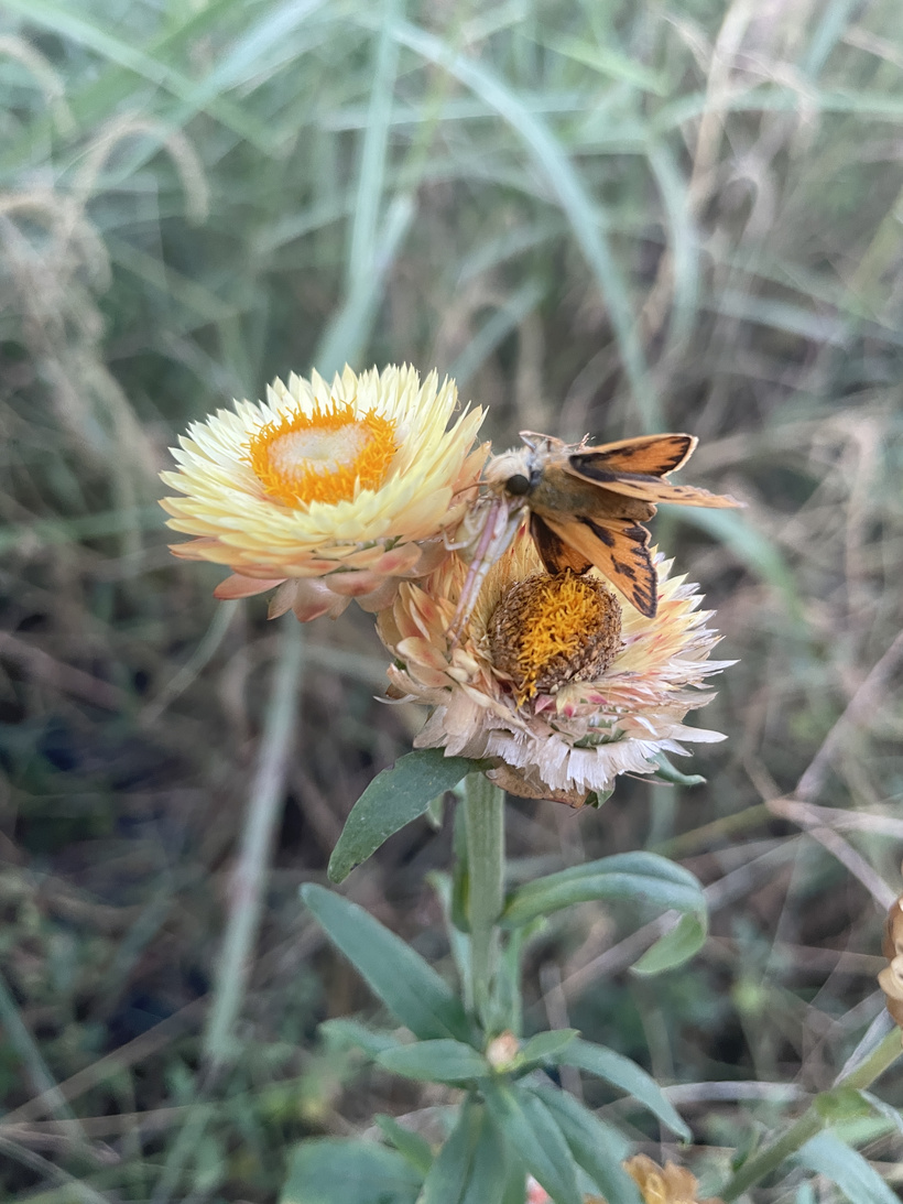 Navigating Uncertainty: The Importance of Community in Preparedness