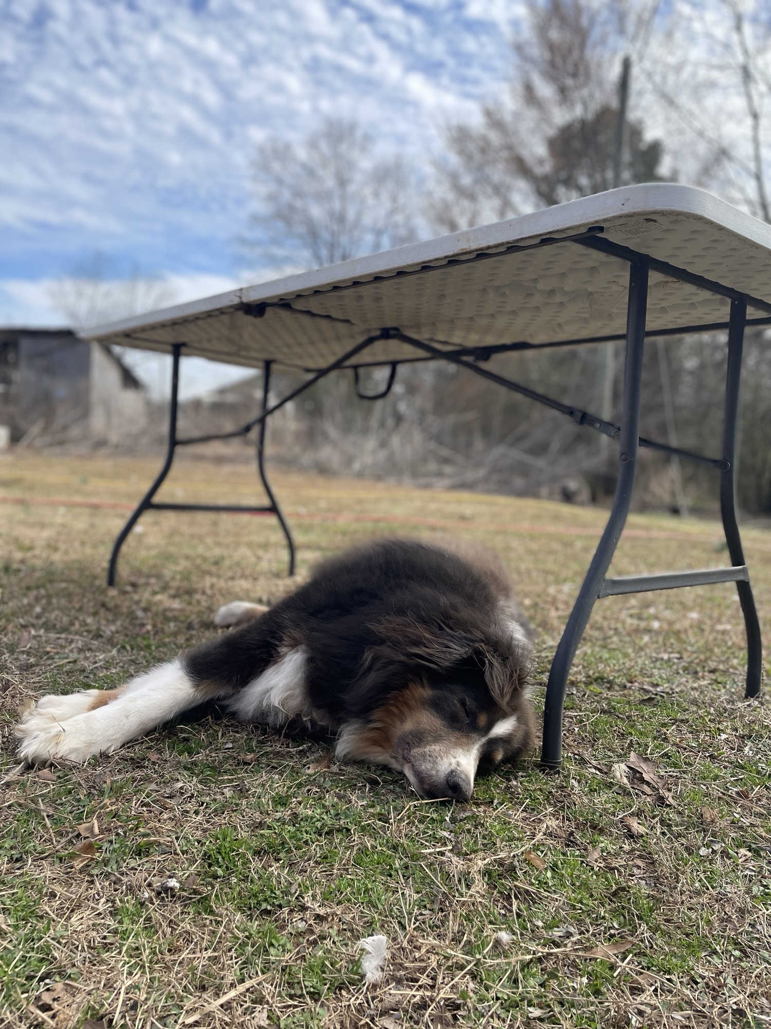 Budget-Friendly Go-Bag Essentials for Everyone