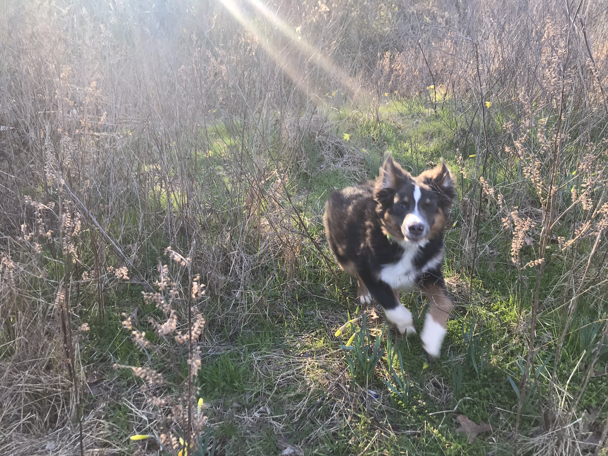 Remembering Desto: The Heartbeat of Truck Patch